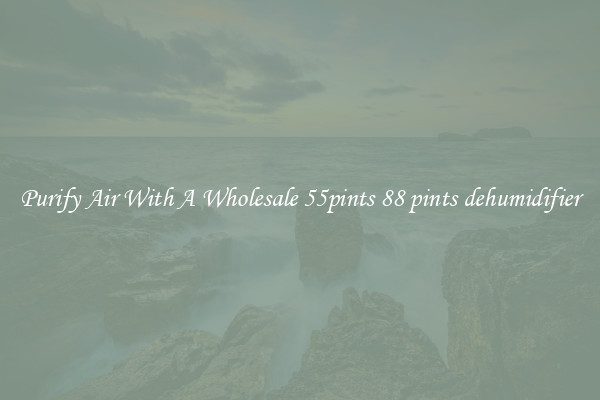 Purify Air With A Wholesale 55pints 88 pints dehumidifier