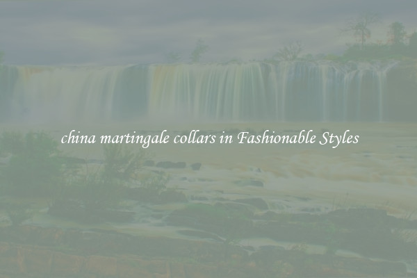 china martingale collars in Fashionable Styles