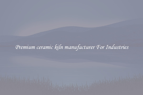 Premium ceramic kiln manufacturer For Industries