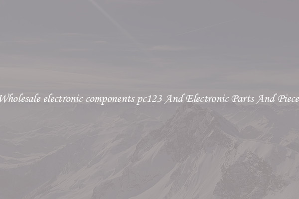 Wholesale electronic components pc123 And Electronic Parts And Pieces