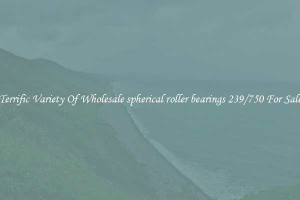 Terrific Variety Of Wholesale spherical roller bearings 239/750 For Sale