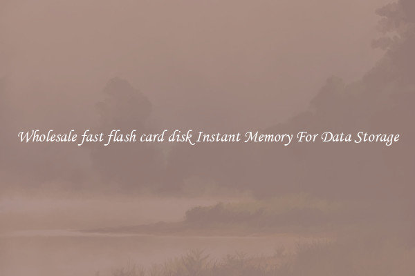 Wholesale fast flash card disk Instant Memory For Data Storage