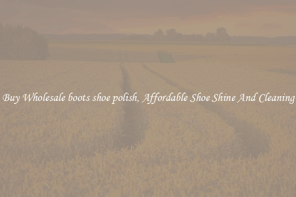 Buy Wholesale boots shoe polish, Affordable Shoe Shine And Cleaning