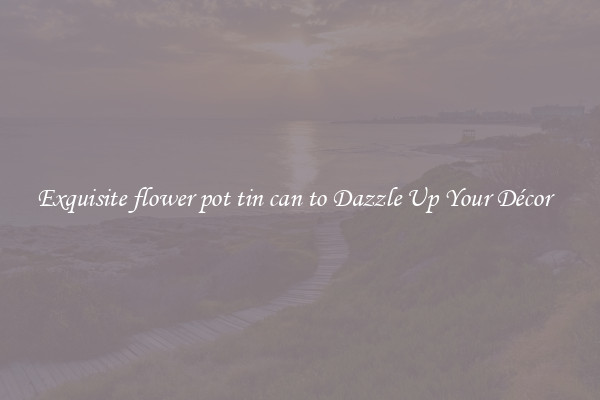 Exquisite flower pot tin can to Dazzle Up Your Décor  