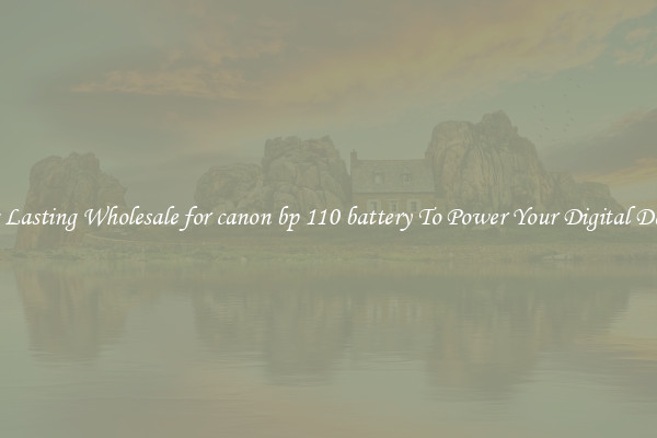 Long Lasting Wholesale for canon bp 110 battery To Power Your Digital Devices