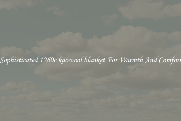 Sophisticated 1260c kaowool blanket For Warmth And Comfort