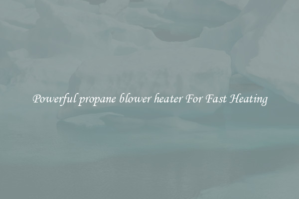 Powerful propane blower heater For Fast Heating