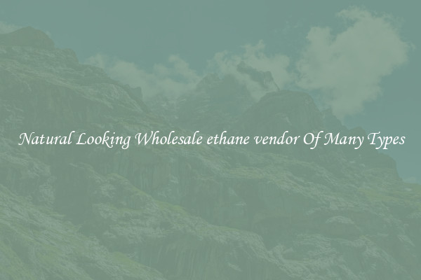 Natural Looking Wholesale ethane vendor Of Many Types