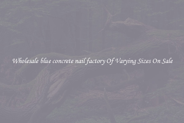 Wholesale blue concrete nail factory Of Varying Sizes On Sale