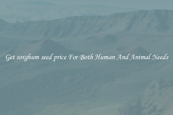 Get sorghum seed price For Both Human And Animal Needs