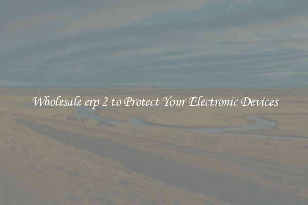 Wholesale erp 2 to Protect Your Electronic Devices