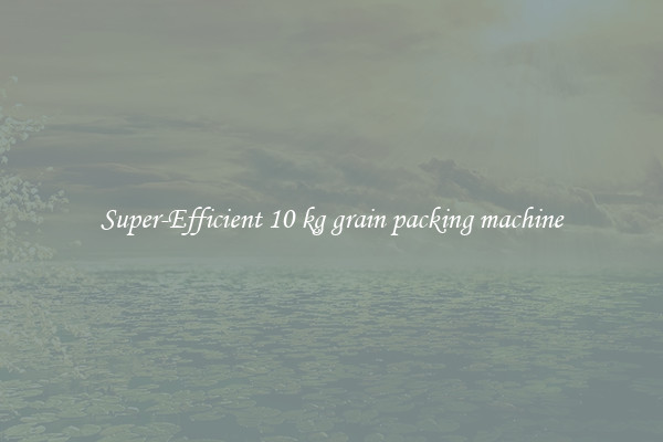 Super-Efficient 10 kg grain packing machine
