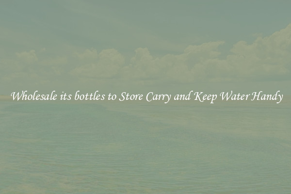 Wholesale its bottles to Store Carry and Keep Water Handy