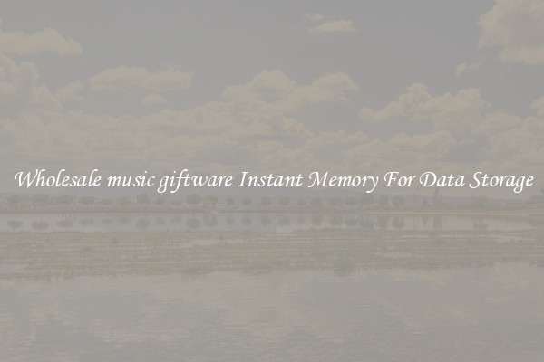 Wholesale music giftware Instant Memory For Data Storage
