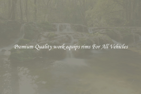 Premium-Quality work equips rims For All Vehicles