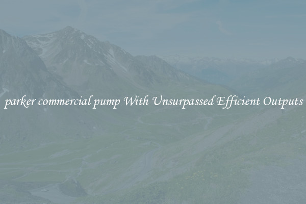 parker commercial pump With Unsurpassed Efficient Outputs