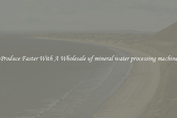 Produce Faster With A Wholesale uf mineral water processing machine