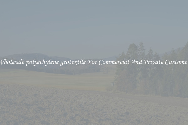 Wholesale polyethylene geotextile For Commercial And Private Customers