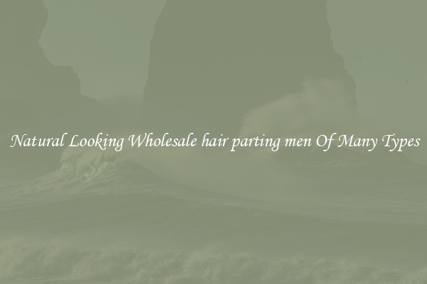 Natural Looking Wholesale hair parting men Of Many Types