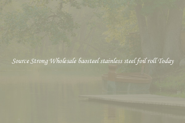 Source Strong Wholesale baosteel stainless steel foil roll Today