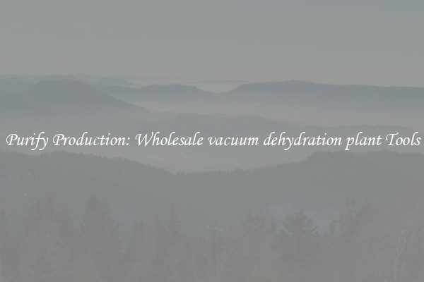 Purify Production: Wholesale vacuum dehydration plant Tools
