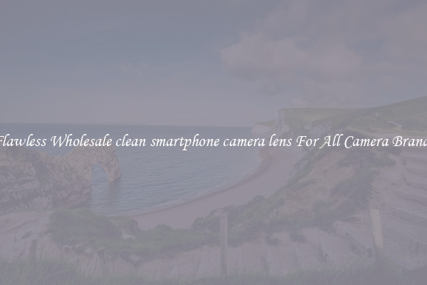 Flawless Wholesale clean smartphone camera lens For All Camera Brands