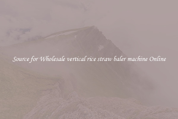 Source for Wholesale vertical rice straw baler machine Online